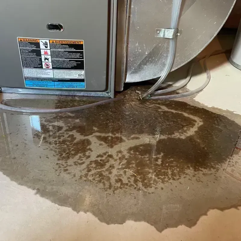 Appliance Leak Cleanup in Alpine, TX